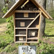Doug Shook's Bee Hotel has its first guests!  Mason Bees and a Bird's Nest!  Spring 2023