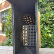 Rented Leafcutter Bee Box Installation at City Hall Garden