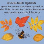 Protect Pollinators under the Leaves