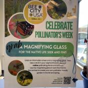 Celebrate Pollinator Week at O'Neal Library!