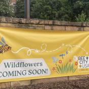 Wildflowers Coming Soon!  banner