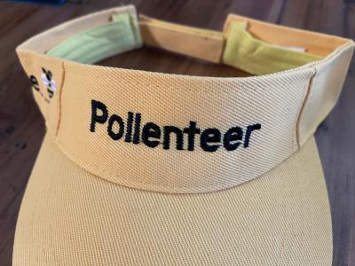 Pollenteer Visor